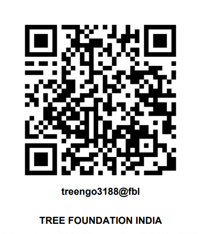 Donate QR Code